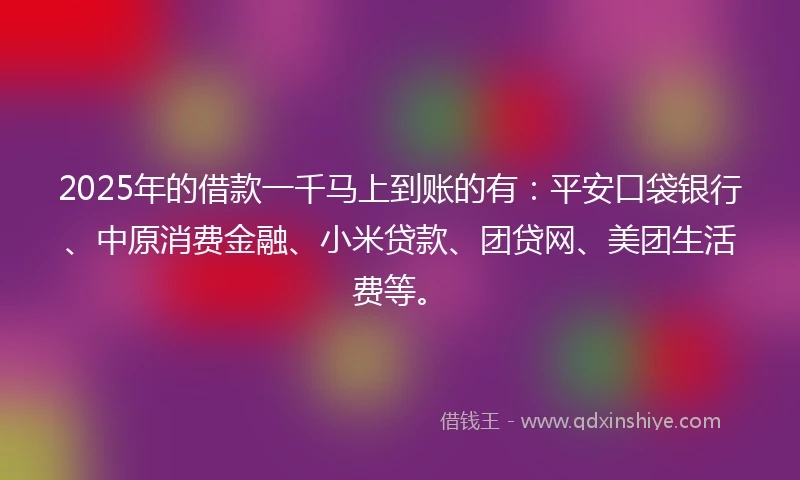 2025年的借款一千马上到账的有：平安口袋银行、中原消费金融、小米贷款、团贷网、美团生活费等。