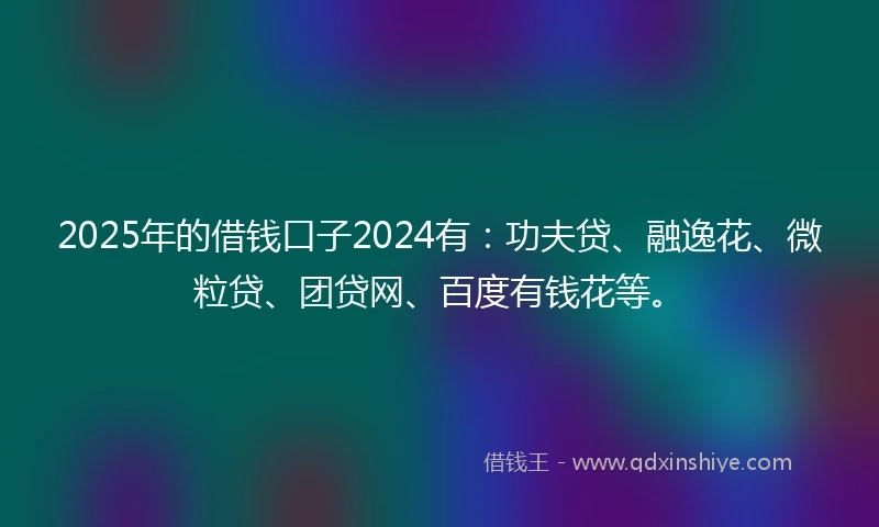 2025年的借钱口子2024有：功夫贷、融逸花、微粒贷、团贷网、百度有钱花等。