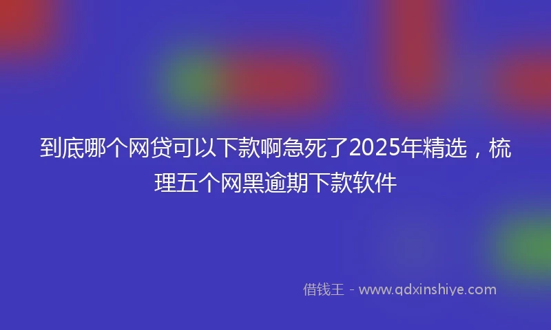 到底哪个网贷可以下款啊急死了2025年精选，梳理五个网黑逾期下款软件