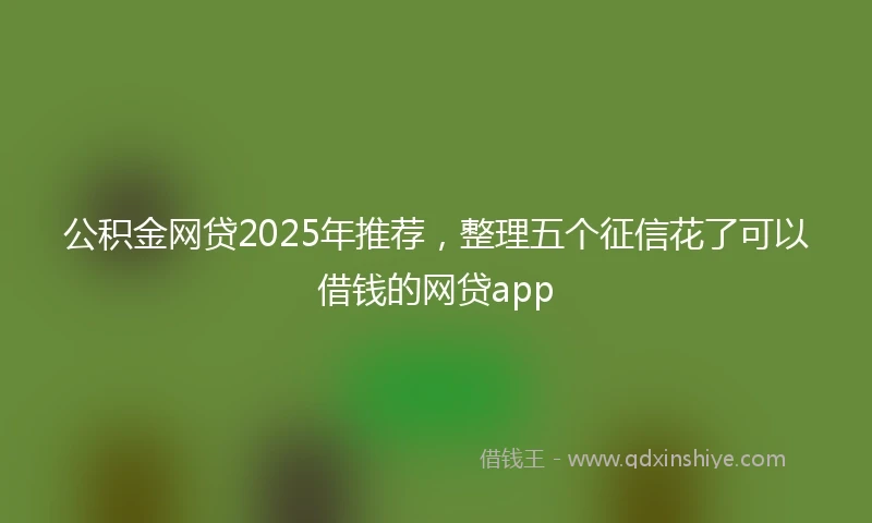 公积金网贷2025年推荐，整理五个征信花了可以借钱的网贷app