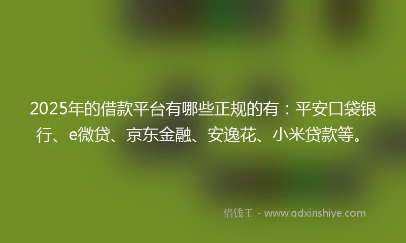 2025年的借款平台有哪些正规的有：平安口袋银行、e微贷、京东金融、安逸花、小米贷款等。