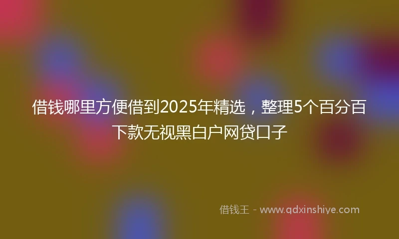 借钱哪里方便借到2025年精选，整理5个百分百下款无视黑白户网贷口子