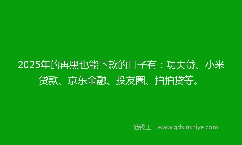 2025年的再黑也能下款的口子有：功夫贷、小米贷款、京东金融、投友圈、拍拍贷等。