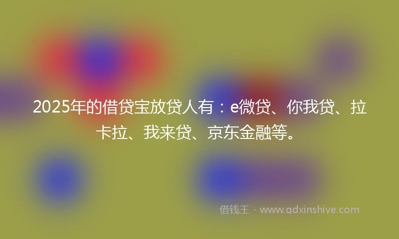 2025年的借贷宝放贷人有：e微贷、你我贷、拉卡拉、我来贷、京东金融等。