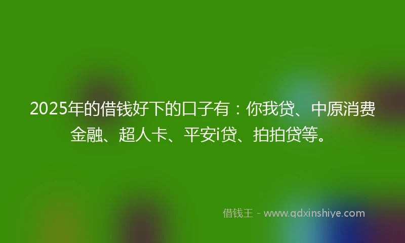 2025年的借钱好下的口子有：你我贷、中原消费金融、超人卡、平安i贷、拍拍贷等。