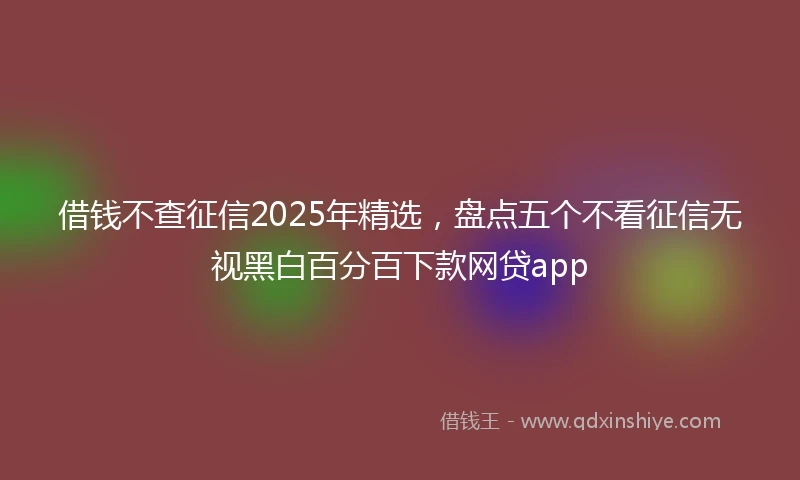 借钱不查征信2025年精选，盘点五个不看征信无视黑白百分百下款网贷app