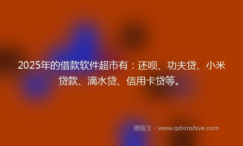 2025年的借款软件超市有：还呗、功夫贷、小米贷款、滴水贷、信用卡贷等。