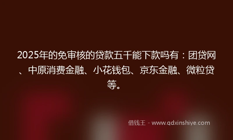 2025年的免审核的贷款五千能下款吗有：团贷网、中原消费金融、小花钱包、京东金融、微粒贷等。