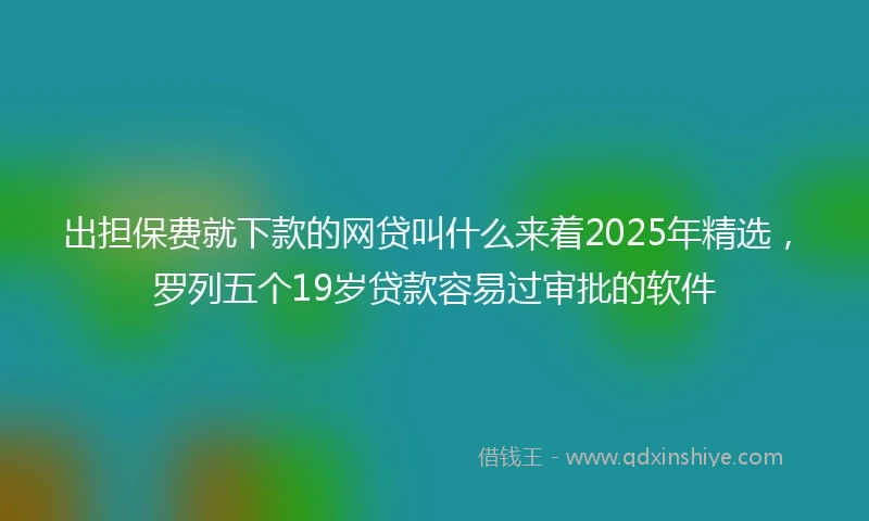 出担保费就下款的网贷叫什么来着2025年精选，罗列五个19岁贷款容易过审批的软件
