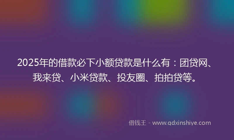 2025年的借款必下小额贷款是什么有：团贷网、我来贷、小米贷款、投友圈、拍拍贷等。