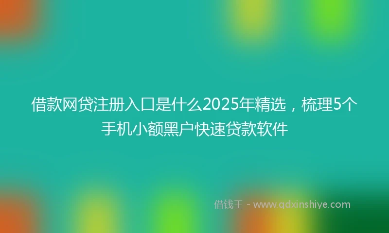 借款网贷注册入口是什么2025年精选，梳理5个手机小额黑户快速贷款软件