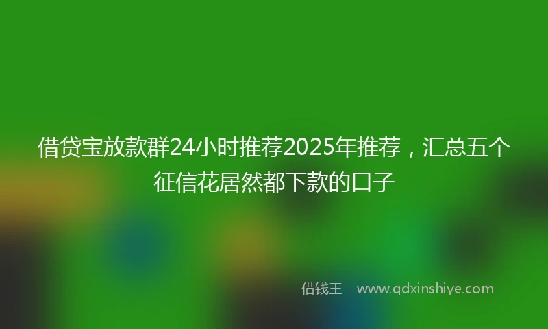 借贷宝放款群24小时推荐2025年推荐，汇总五个征信花居然都下款的口子