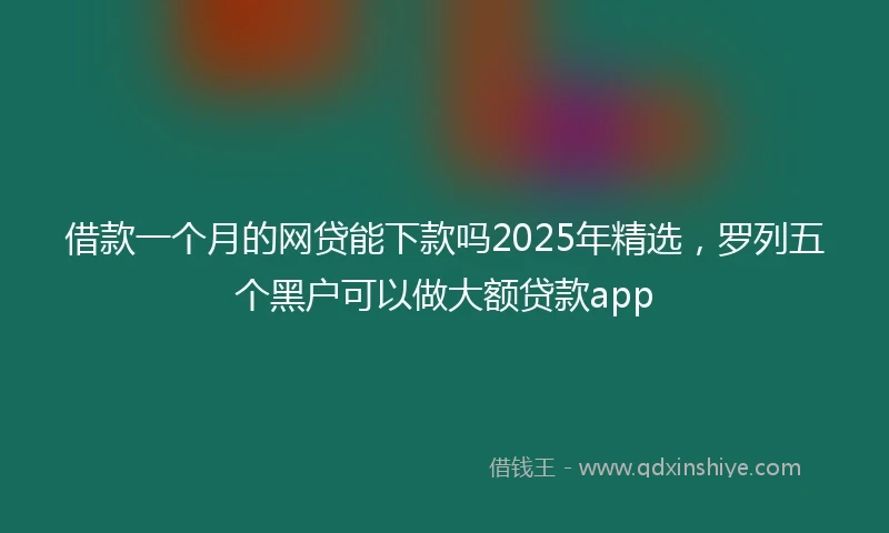 借款一个月的网贷能下款吗2025年精选，罗列五个黑户可以做大额贷款app