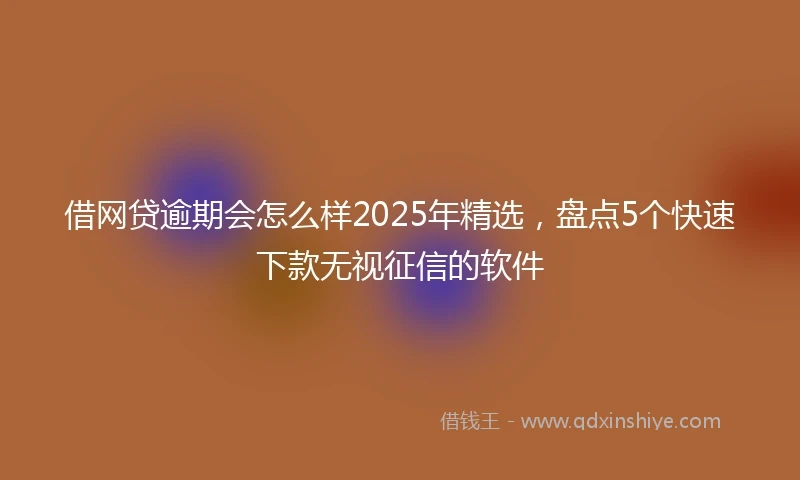 借网贷逾期会怎么样2025年精选，盘点5个快速下款无视征信的软件