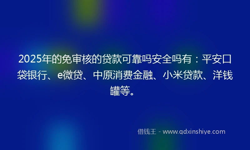 2025年的免审核的贷款可靠吗安全吗有：平安口袋银行、e微贷、中原消费金融、小米贷款、洋钱罐等。