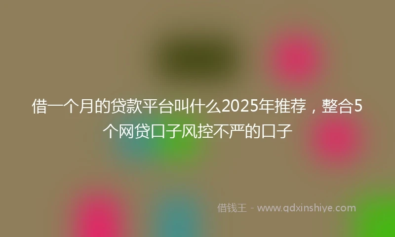 借一个月的贷款平台叫什么2025年推荐，整合5个网贷口子风控不严的口子