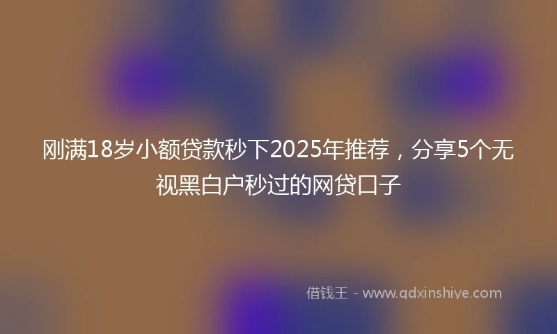 刚满18岁小额贷款秒下2025年推荐，分享5个无视黑白户秒过的网贷口子
