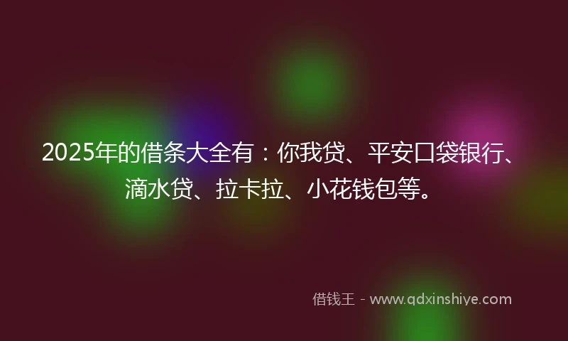2025年的借条大全有：你我贷、平安口袋银行、滴水贷、拉卡拉、小花钱包等。