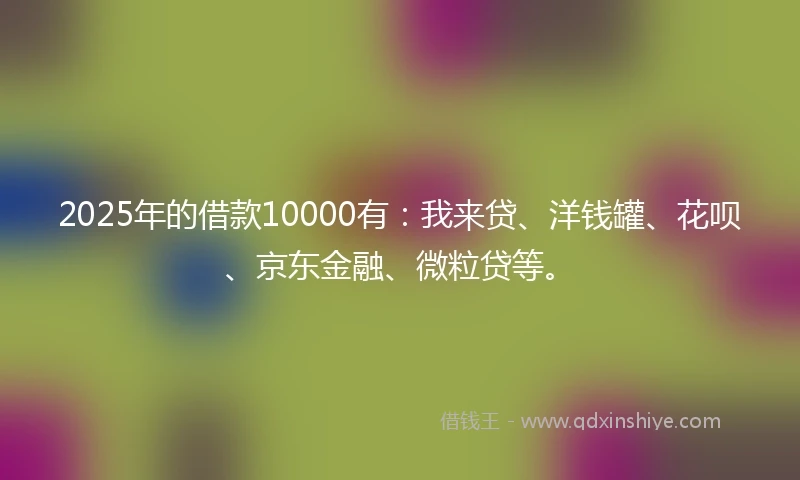 2025年的借款10000有：我来贷、洋钱罐、花呗、京东金融、微粒贷等。