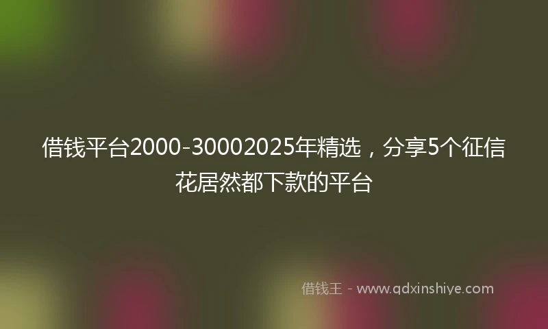 借钱平台2000-30002025年精选，分享5个征信花居然都下款的平台