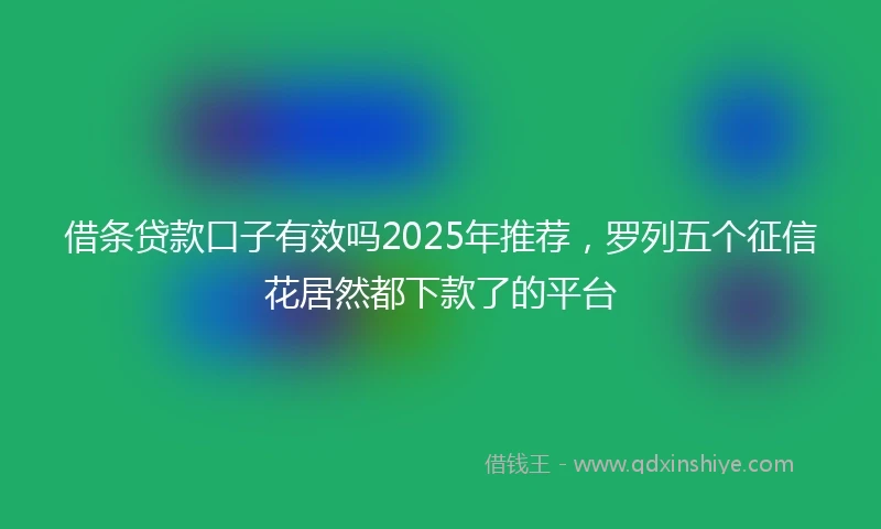 借条贷款口子有效吗2025年推荐，罗列五个征信花居然都下款了的平台