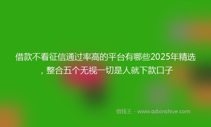 借款不看征信通过率高的平台有哪些2025年精选,整合五个无视一切是人就下款口子