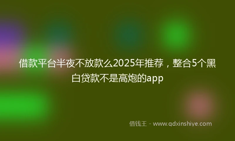 借款平台半夜不放款么2025年推荐，整合5个黑白贷款不是高炮的app
