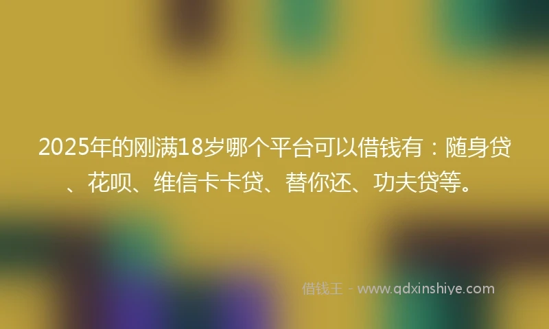 2025年的刚满18岁哪个平台可以借钱有：随身贷、花呗、维信卡卡贷、替你还、功夫贷等。
