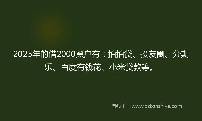 2025年的借2000黑户有：拍拍贷、投友圈、分期乐、百度有钱花、小米贷款等。