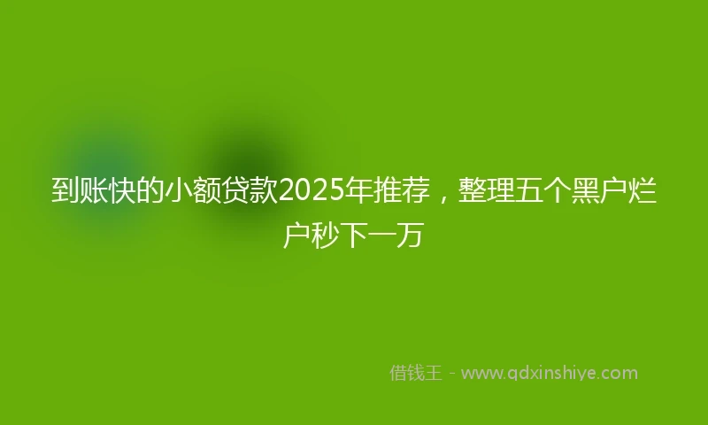 到账快的小额贷款2025年推荐，整理五个黑户烂户秒下一万