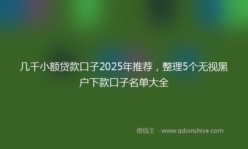 几千小额贷款口子2025年推荐，整理5个无视黑户下款口子名单大全