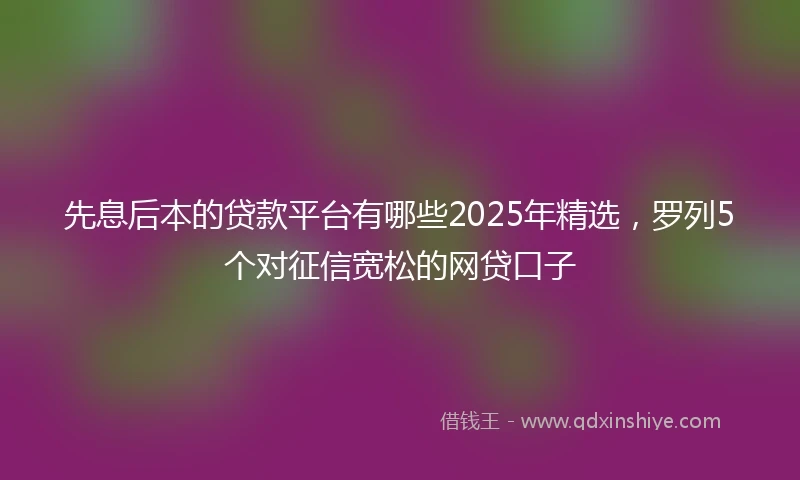 先息后本的贷款平台有哪些2025年精选，罗列5个对征信宽松的网贷口子