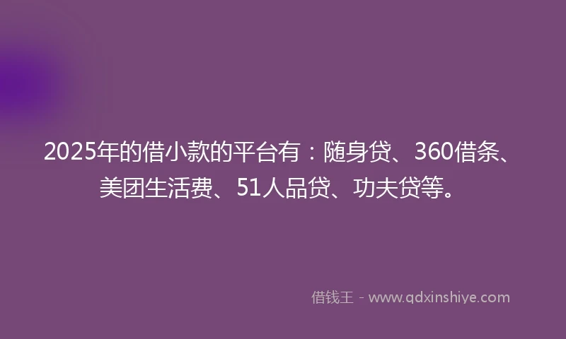 2025年的借小款的平台有：随身贷、360借条、美团生活费、51人品贷、功夫贷等。