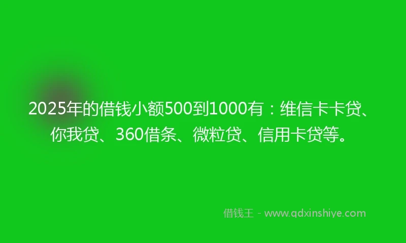 2025年的借钱小额500到1000有：维信卡卡贷、你我贷、360借条、微粒贷、信用卡贷等。