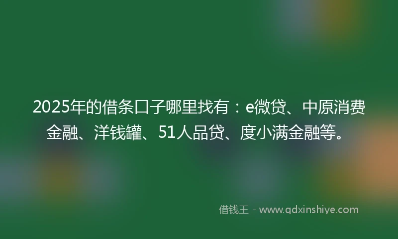 2025年的借条口子哪里找有：e微贷、中原消费金融、洋钱罐、51人品贷、度小满金融等。