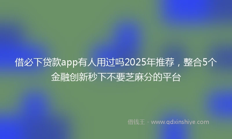 借必下贷款app有人用过吗2025年推荐，整合5个金融创新秒下不要芝麻分的平台