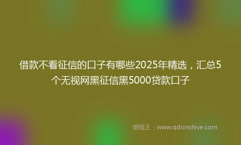 借款不看征信的口子有哪些2025年精选,汇总5个无视网黑征信黑5000贷款口子