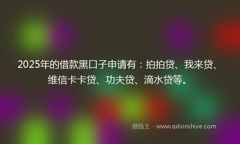 2025年的借款黑口子申请有：拍拍贷、我来贷、维信卡卡贷、功夫贷、滴水贷等。