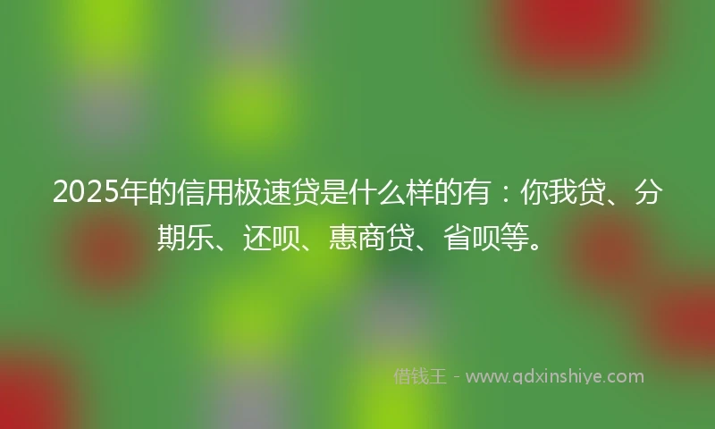 2025年的信用极速贷是什么样的有：你我贷、分期乐、还呗、惠商贷、省呗等。