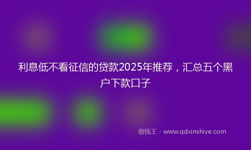 利息低不看征信的贷款2025年推荐，汇总五个黑户下款口子