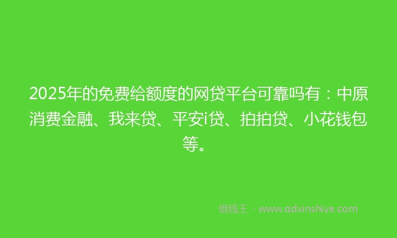 2025年的免费给额度的网贷平台可靠吗有：中原消费金融、我来贷、平安i贷、拍拍贷、小花钱包等。