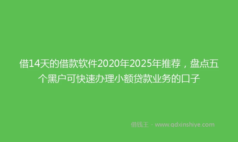 借14天的借款软件2020年2025年推荐,盘点五个黑户可快速办理小额贷款业务的口子