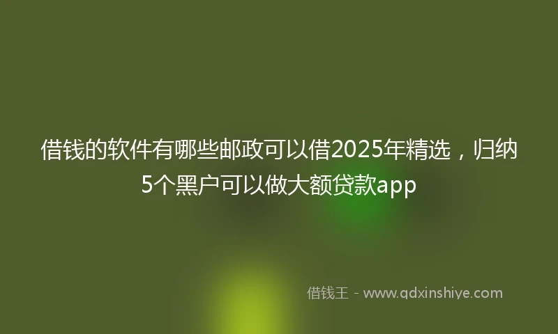 借钱的软件有哪些邮政可以借2025年精选，归纳5个黑户可以做大额贷款app