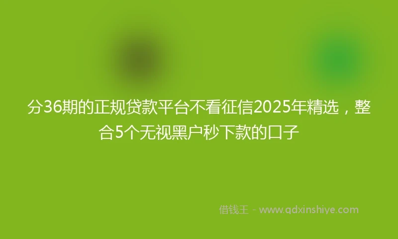 分36期的正规贷款平台不看征信2025年精选，整合5个无视黑户秒下款的口子