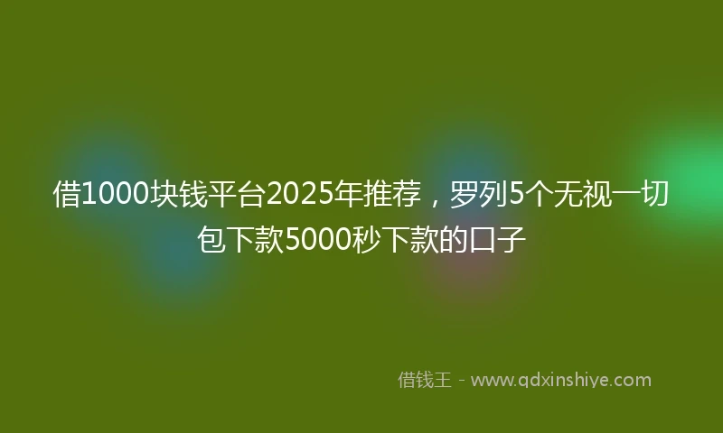 借1000块钱平台2025年推荐，罗列5个无视一切包下款5000秒下款的口子