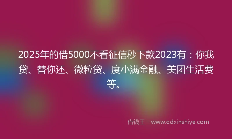 2025年的借5000不看征信秒下款2023有:你我贷、替你还、微粒贷、度小满金融、美团生活费等。