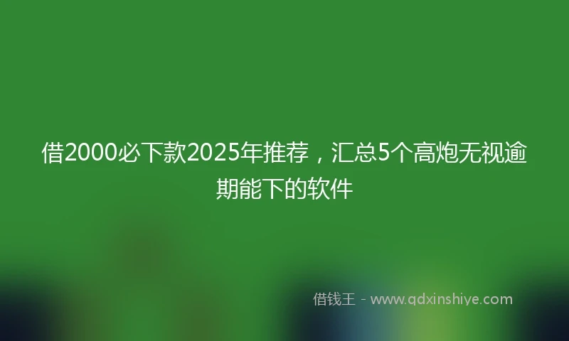 借2000必下款2025年推荐，汇总5个高炮无视逾期能下的软件