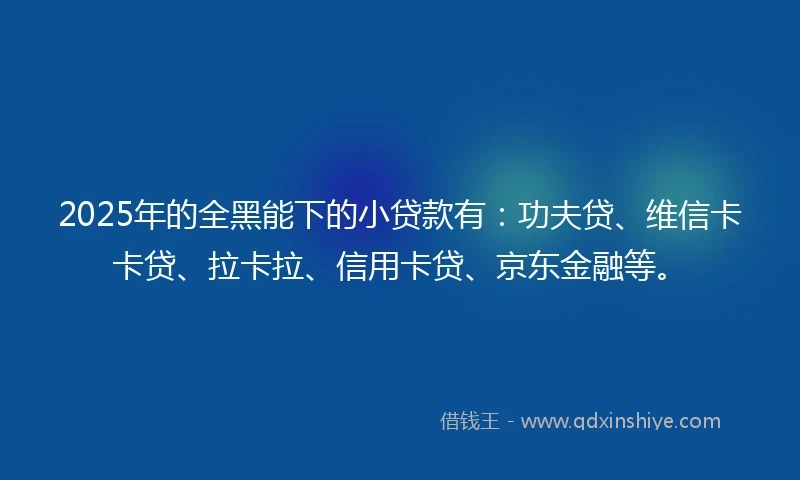 2025年的全黑能下的小贷款有：功夫贷、维信卡卡贷、拉卡拉、信用卡贷、京东金融等。