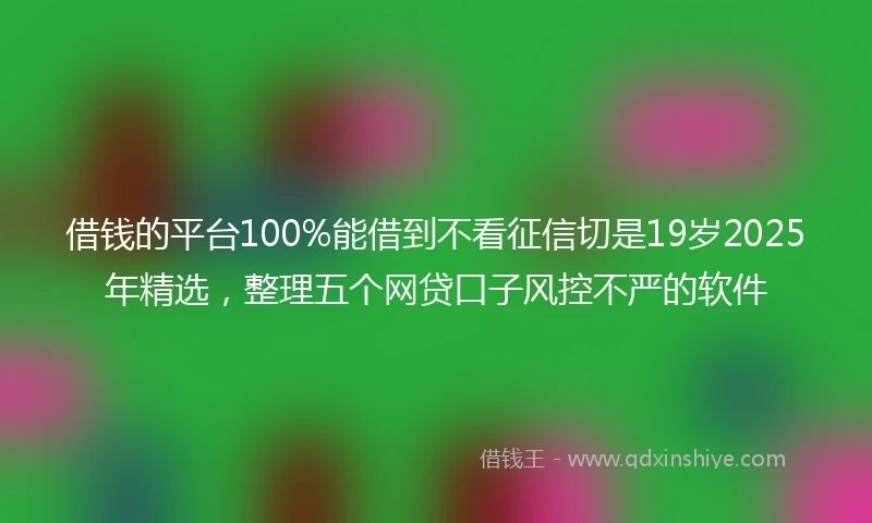 借钱的平台100%能借到不看征信切是19岁2025年精选，整理五个网贷口子风控不严的软件