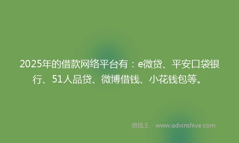 2025年的借款网络平台有：e微贷、平安口袋银行、51人品贷、微博借钱、小花钱包等。